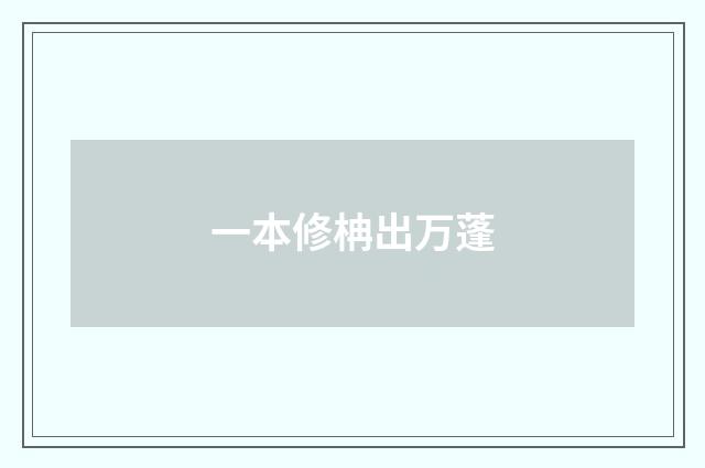 一本修柟出万蓬