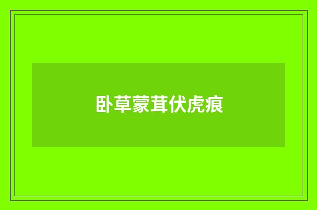 卧草蒙茸伏虎痕