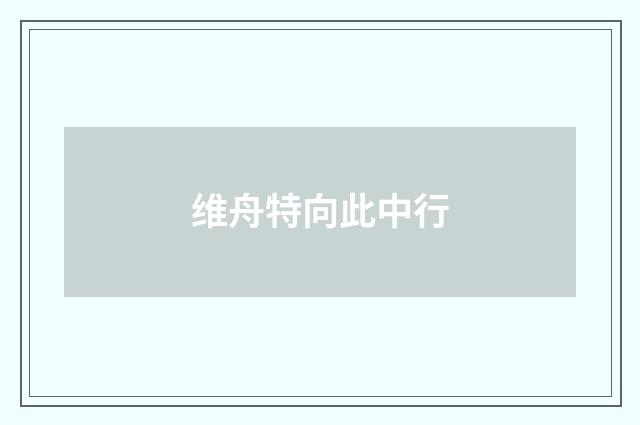 维舟特向此中行