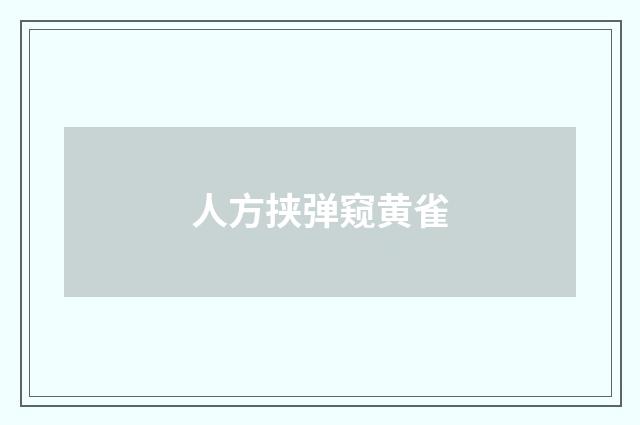 人方挟弹窥黄雀