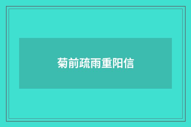 菊前疏雨重阳信