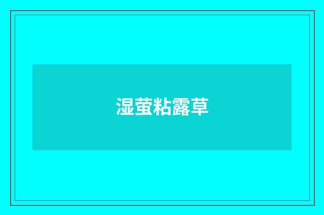 湿萤粘露草
