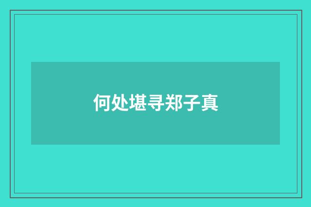 何处堪寻郑子真