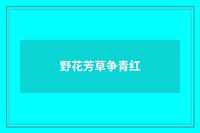 野花芳草争青红
