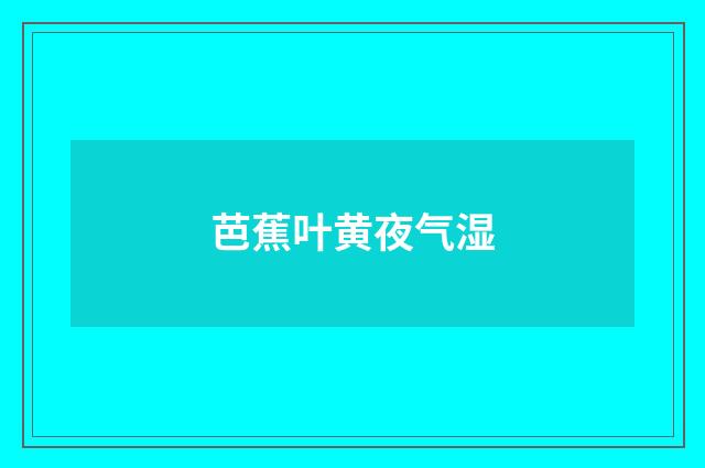 芭蕉叶黄夜气湿