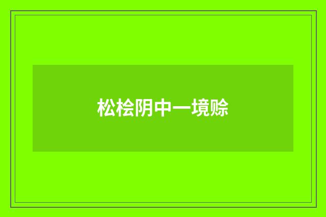 松桧阴中一境赊