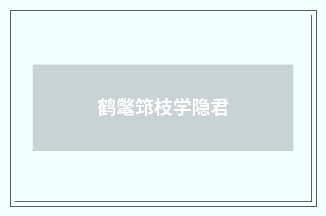 鹤氅筇枝学隐君