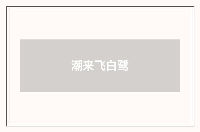 潮来飞白鹭