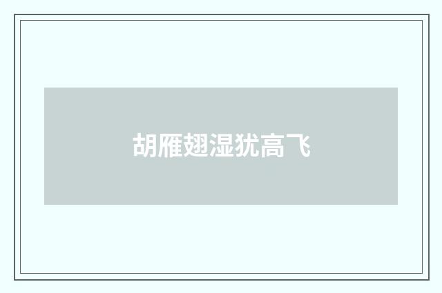 胡雁翅湿犹高飞