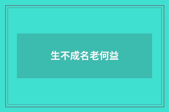 生不成名老何益