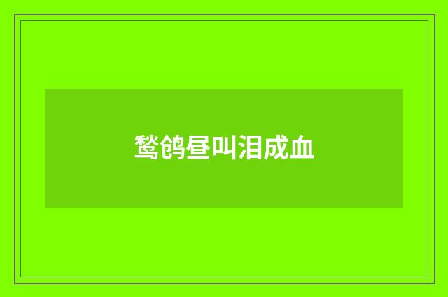 鹙鸧昼叫泪成血