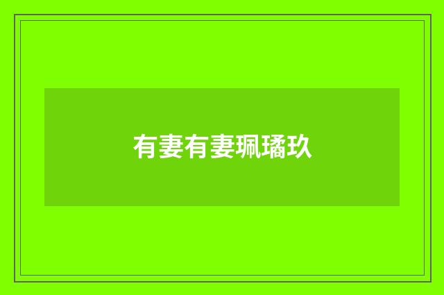 有妻有妻珮璚玖