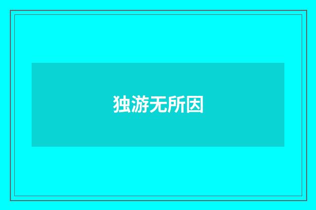 独游无所因