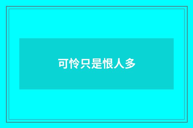 可怜只是恨人多