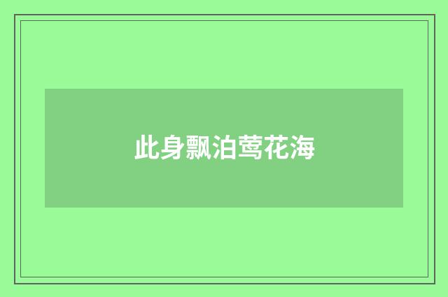 此身飘泊莺花海