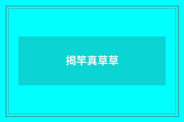 揭竿真草草