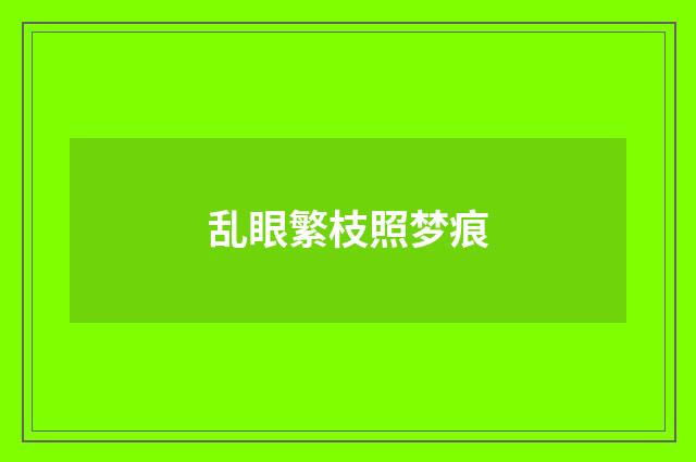 乱眼繁枝照梦痕