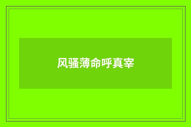 风骚薄命呼真宰