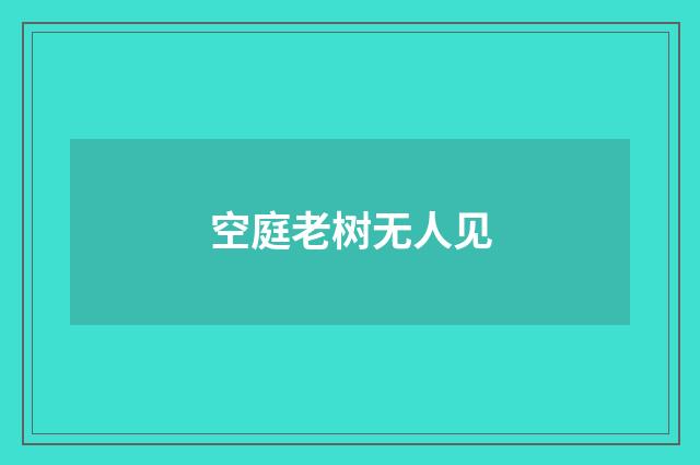 空庭老树无人见