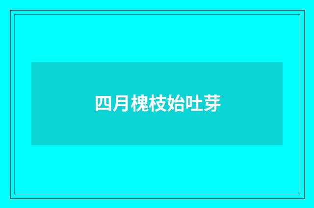 四月槐枝始吐芽