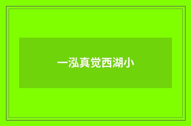 一泓真觉西湖小