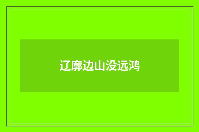辽廓边山没远鸿