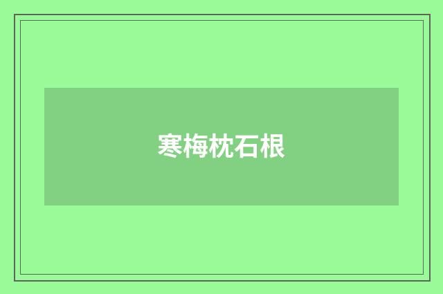 寒梅枕石根