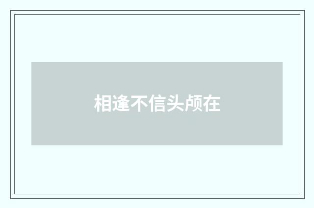 相逢不信头颅在
