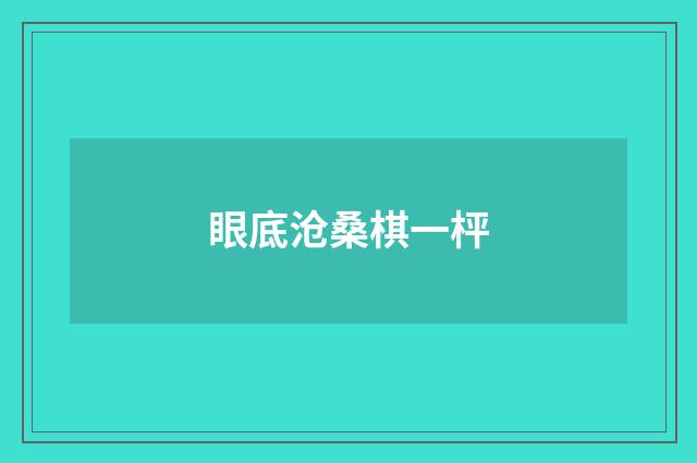 眼底沧桑棋一枰
