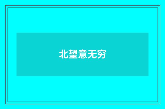 北望意无穷