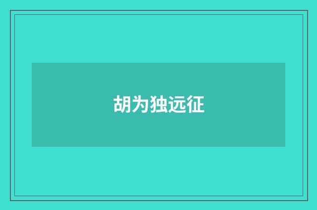 胡为独远征