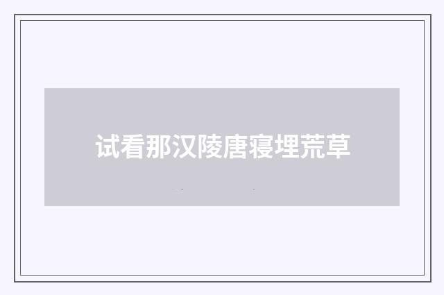 试看那汉陵唐寝埋荒草