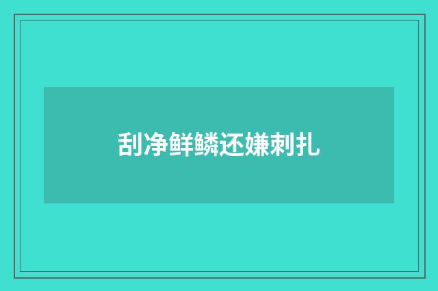 刮净鲜鳞还嫌刺扎