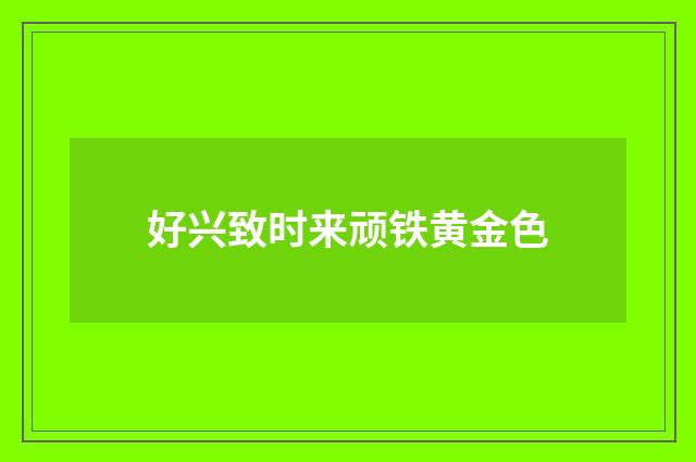 好兴致时来顽铁黄金色