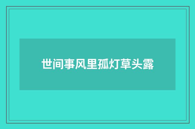 世间事风里孤灯草头露