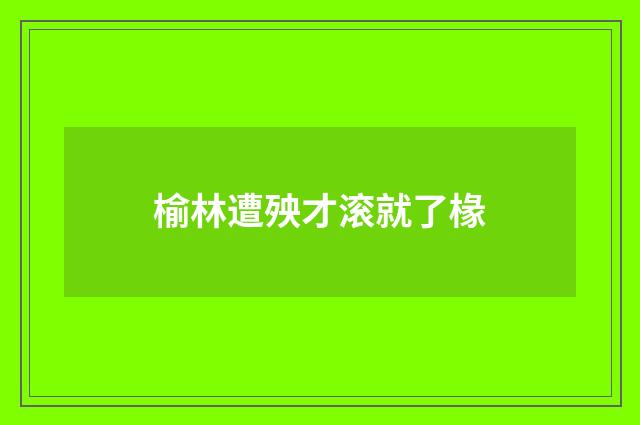 榆林遭殃才滚就了椽