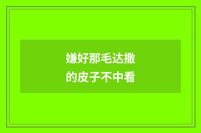 嫌好那毛达撒的皮子不中看