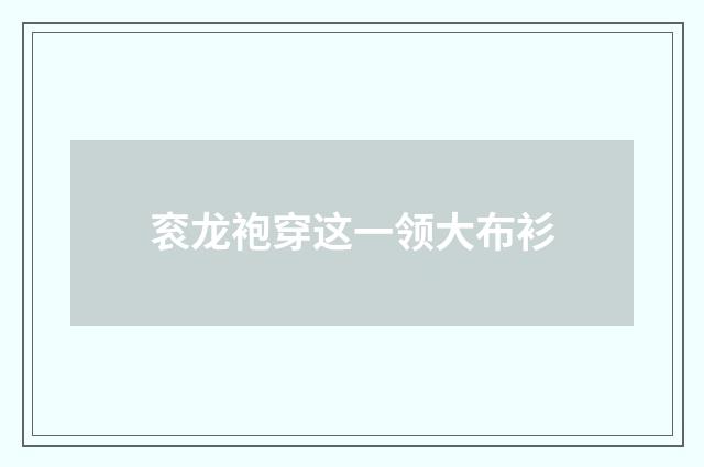 衮龙袍穿这一领大布衫
