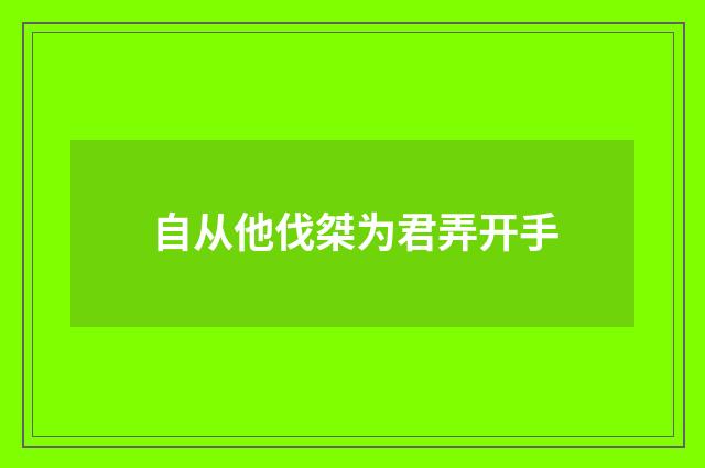 自从他伐桀为君弄开手