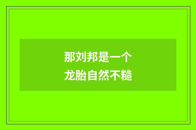 那刘邦是一个龙胎自然不糙