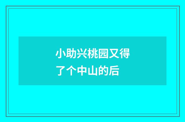 小助兴桃园又得了个中山的后