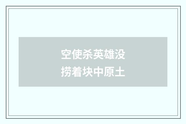 空使杀英雄没捞着块中原土