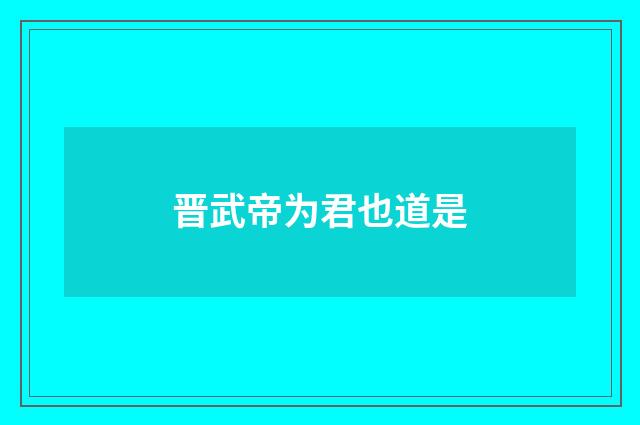 晋武帝为君也道是