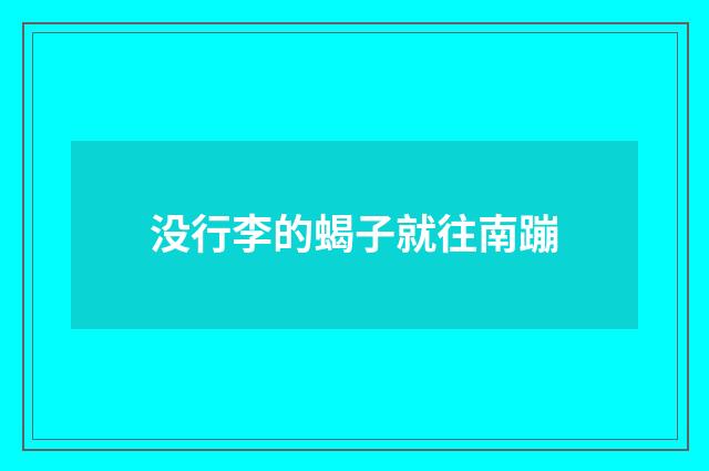 没行李的蝎子就往南蹦