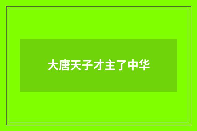 大唐天子才主了中华