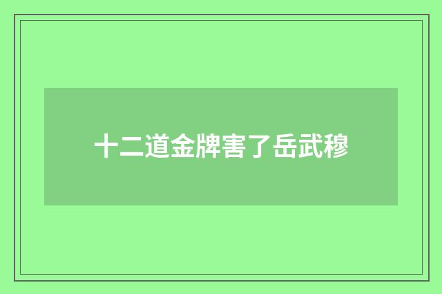 十二道金牌害了岳武穆