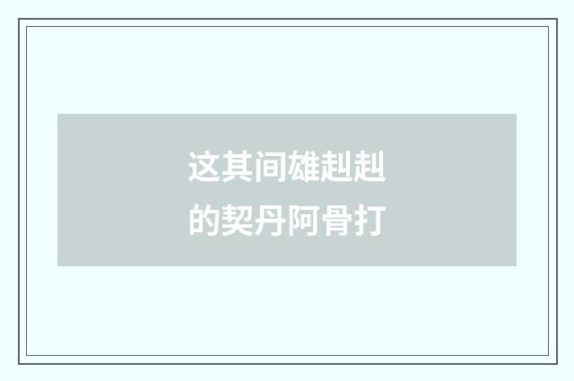 这其间雄赳赳的契丹阿骨打