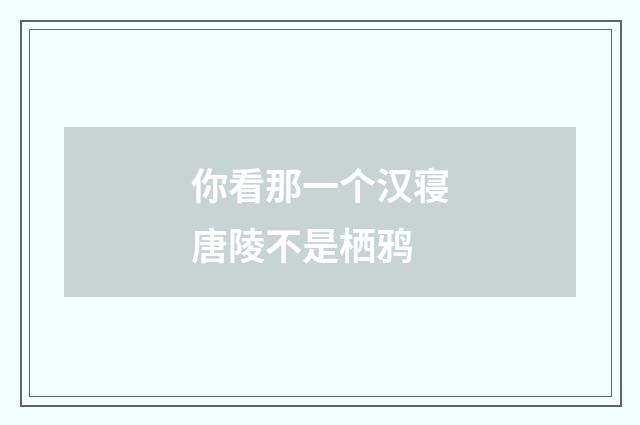 你看那一个汉寝唐陵不是栖鸦