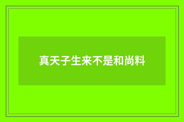 真天子生来不是和尚料