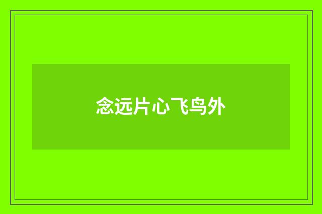 念远片心飞鸟外